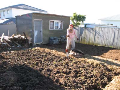 Heidi planting